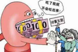 欠款纠纷律师专线催收：专业法律支持，高效解决债务问题